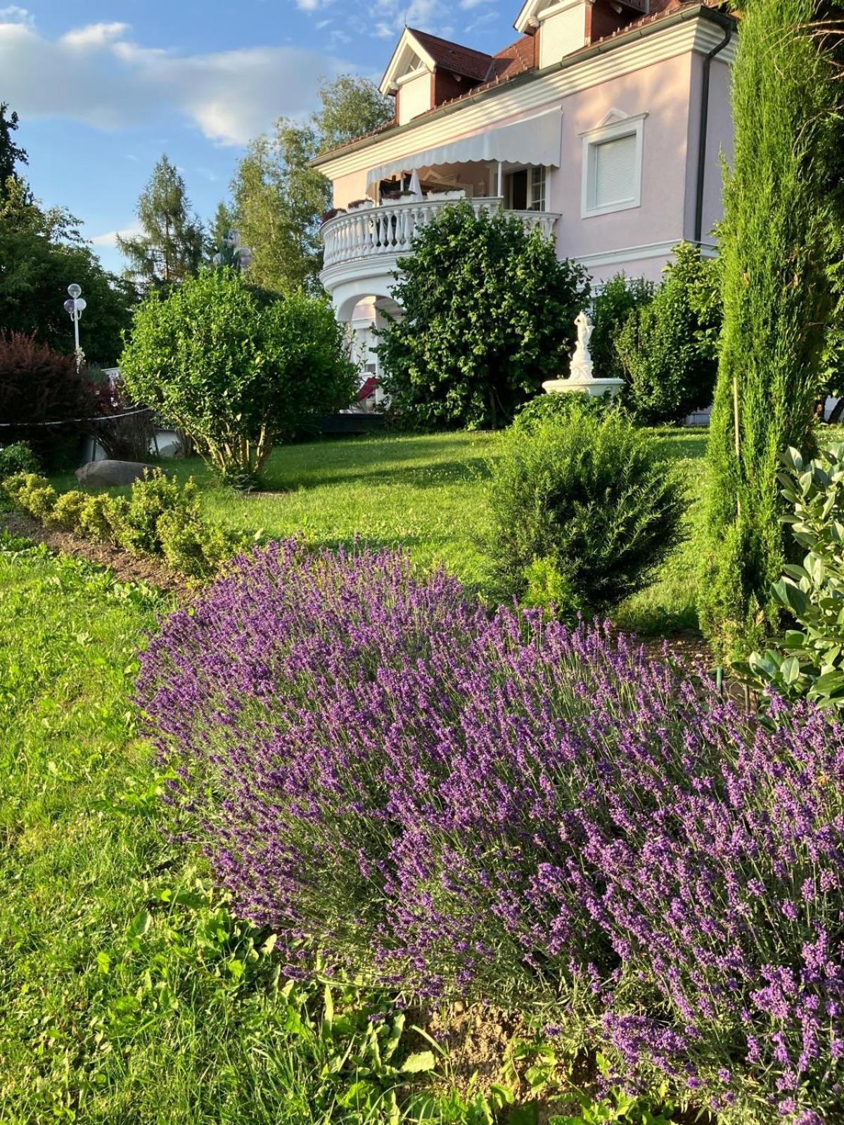 סנט קנזיאן Villa Rose מראה חיצוני תמונה